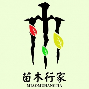 定州从小到大农业科技有限公司